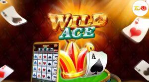 Wild Ace TD88