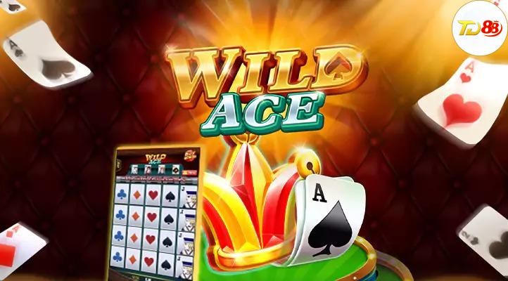 Wild Ace TD88